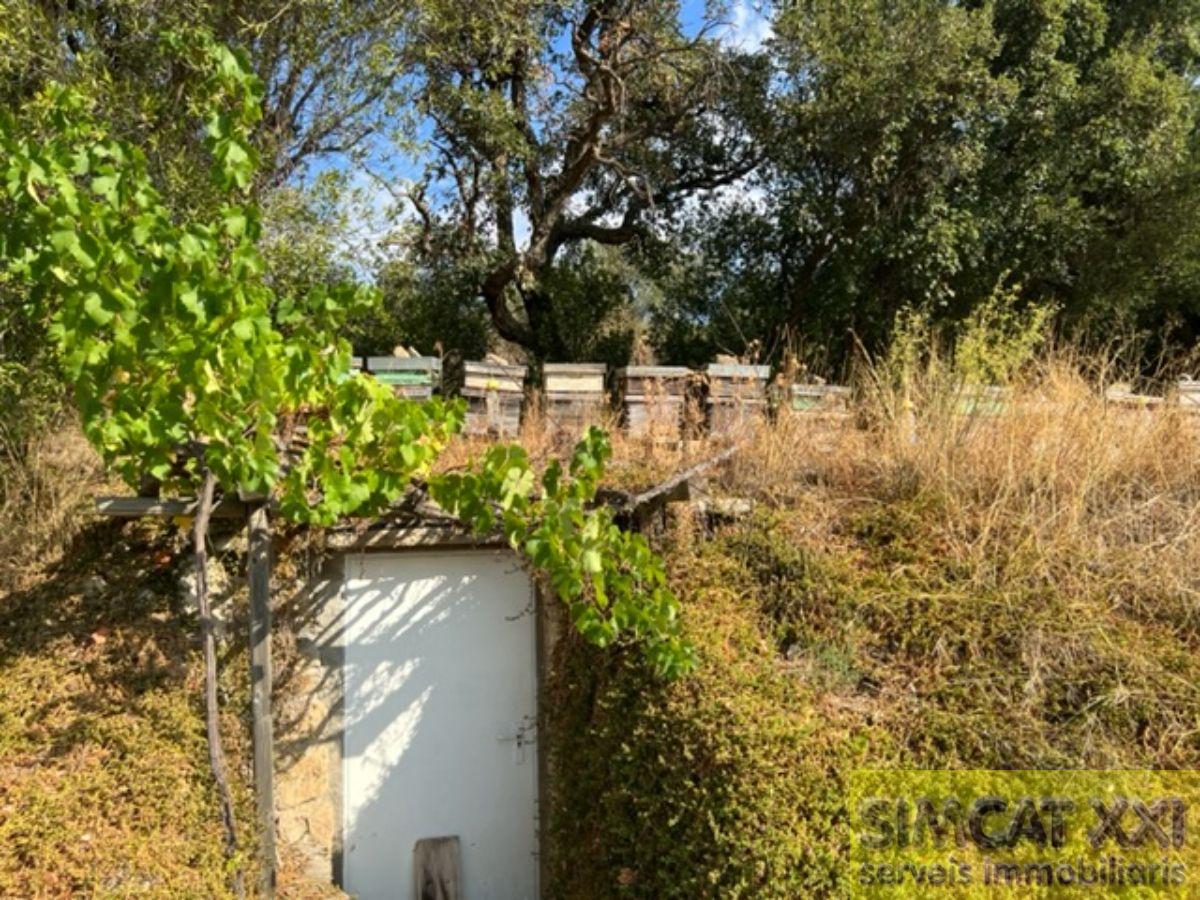 For sale of rural property in Cantallops