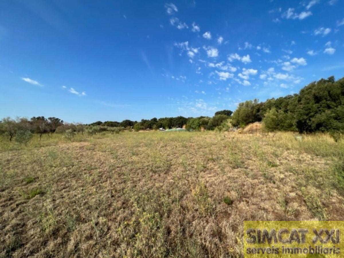 For sale of rural property in Cantallops