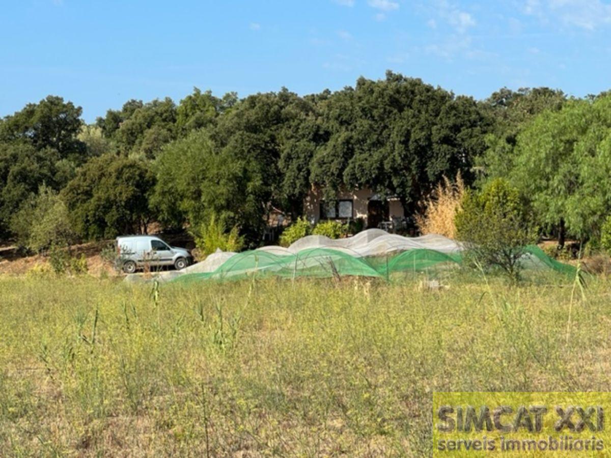 Venda de finca rústica a Cantallops