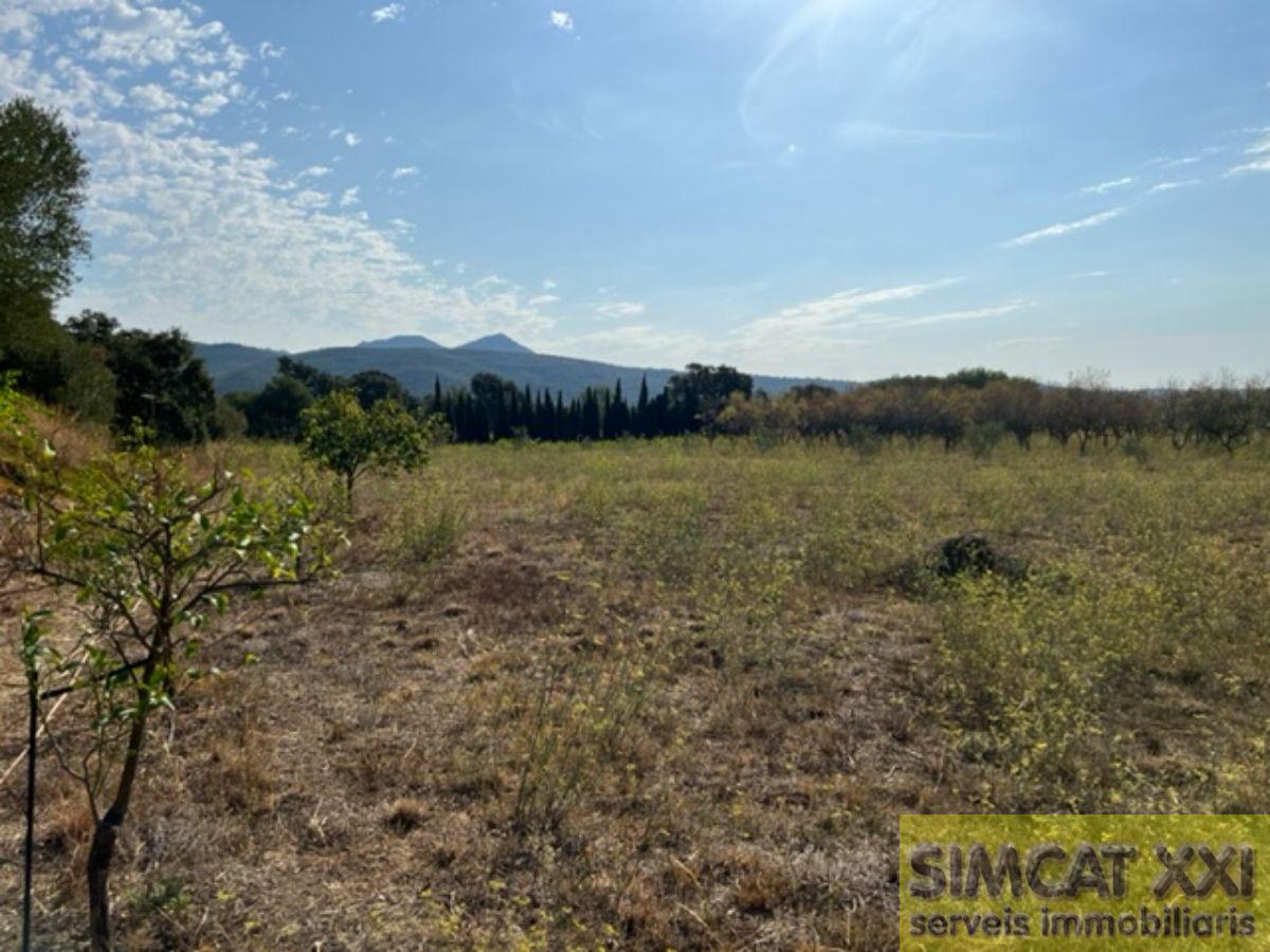 For sale of land in Cantallops