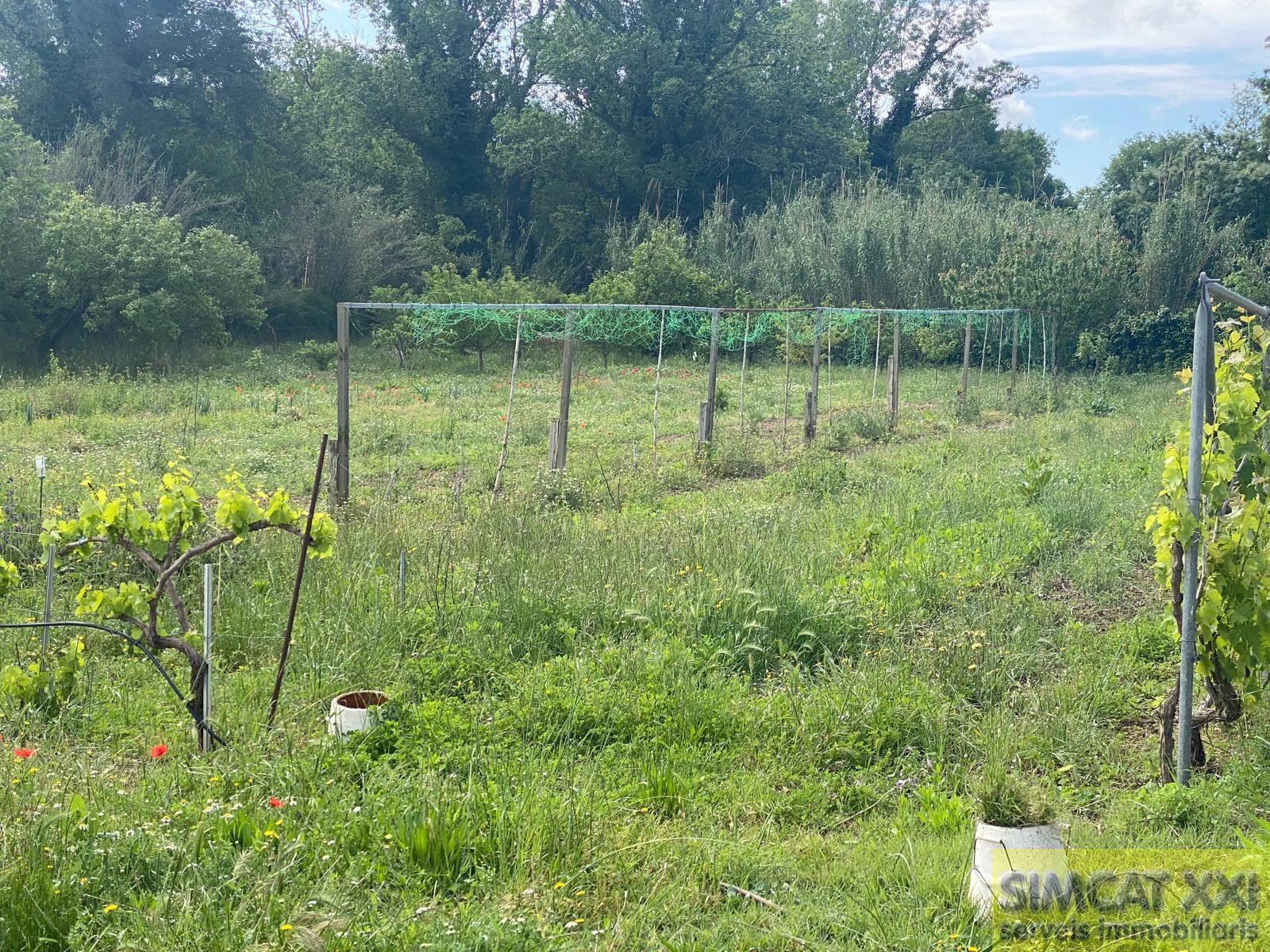 For sale of rural property in Avinyonet de Puigventós