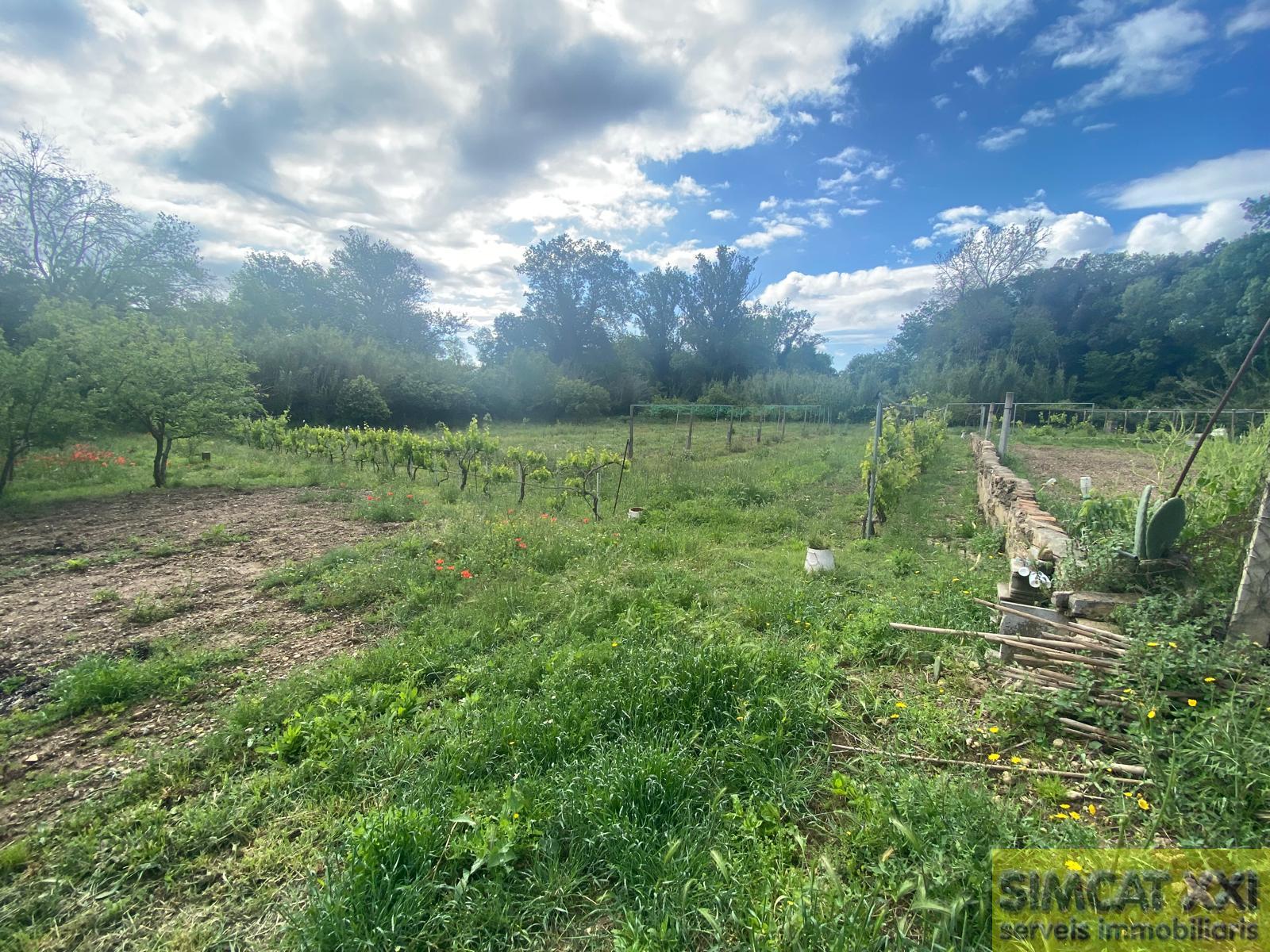 For sale of rural property in Avinyonet de Puigventós