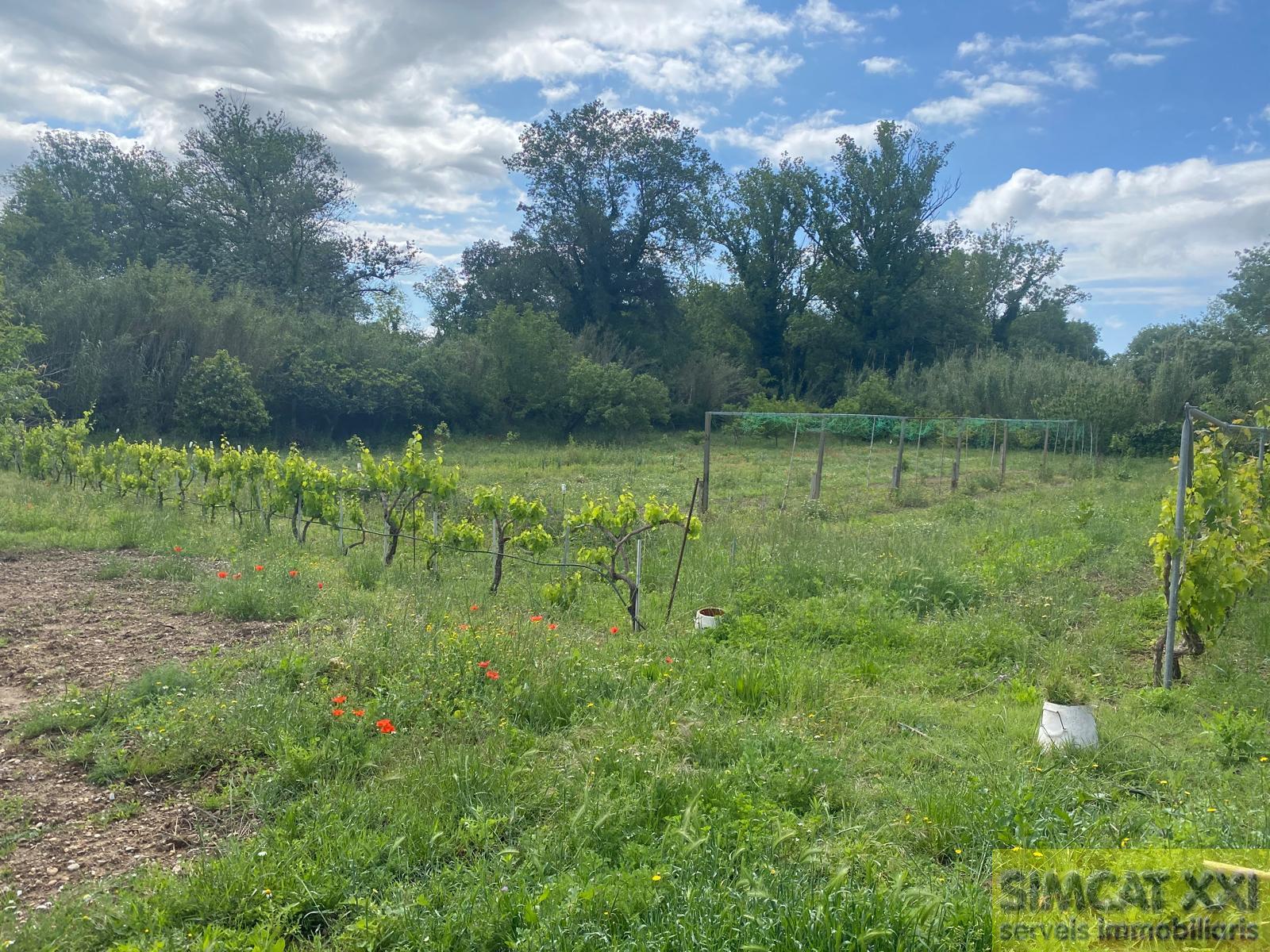 For sale of rural property in Avinyonet de Puigventós