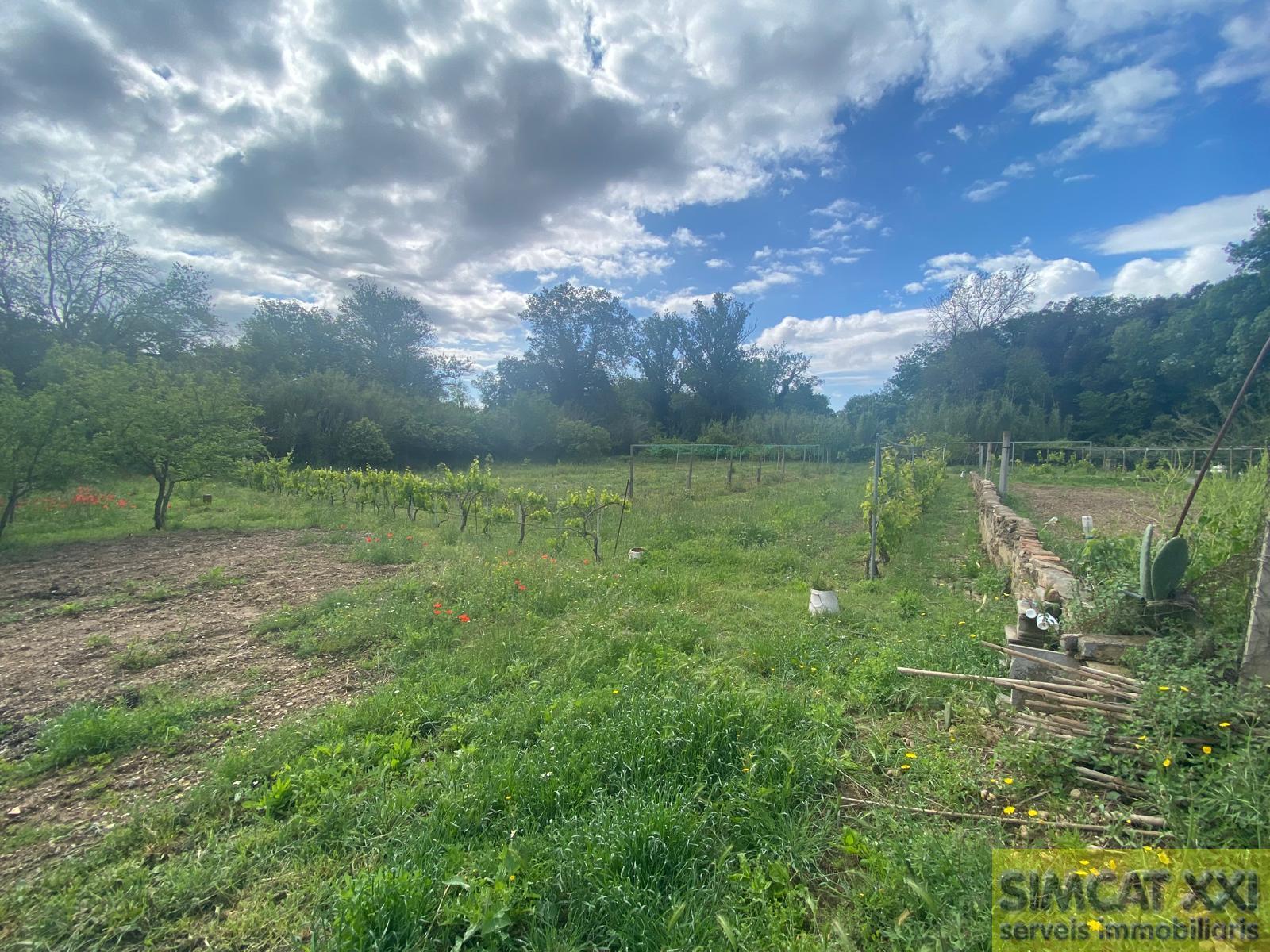 For sale of rural property in Avinyonet de Puigventós