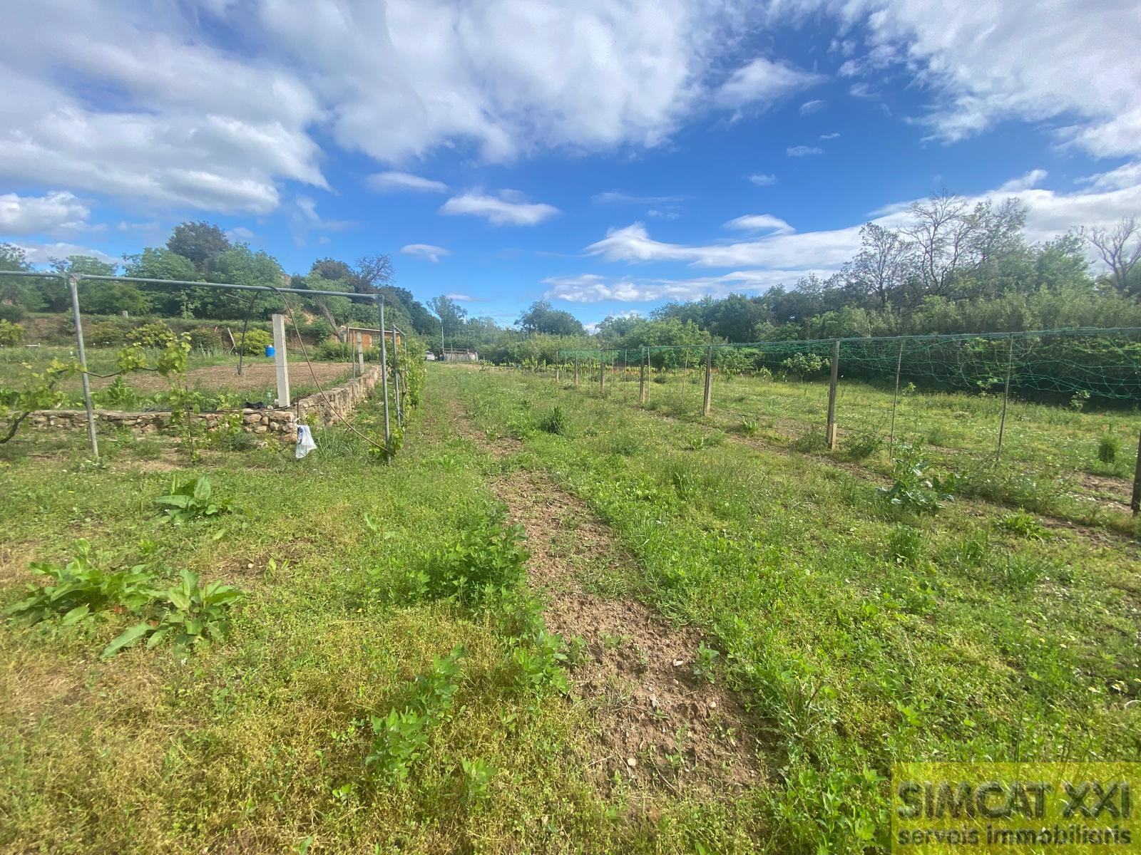 For sale of rural property in Avinyonet de Puigventós