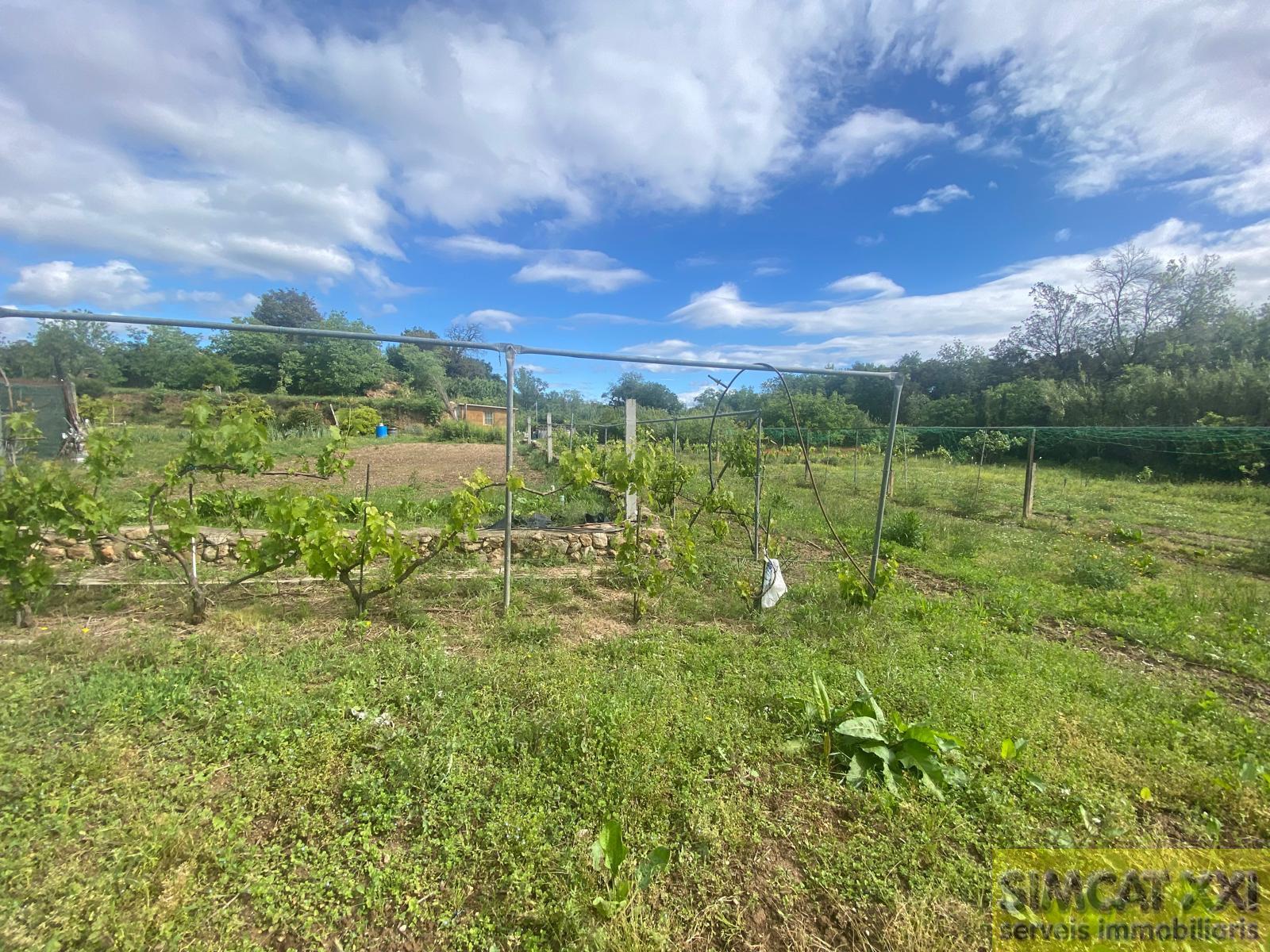 For sale of rural property in Avinyonet de Puigventós