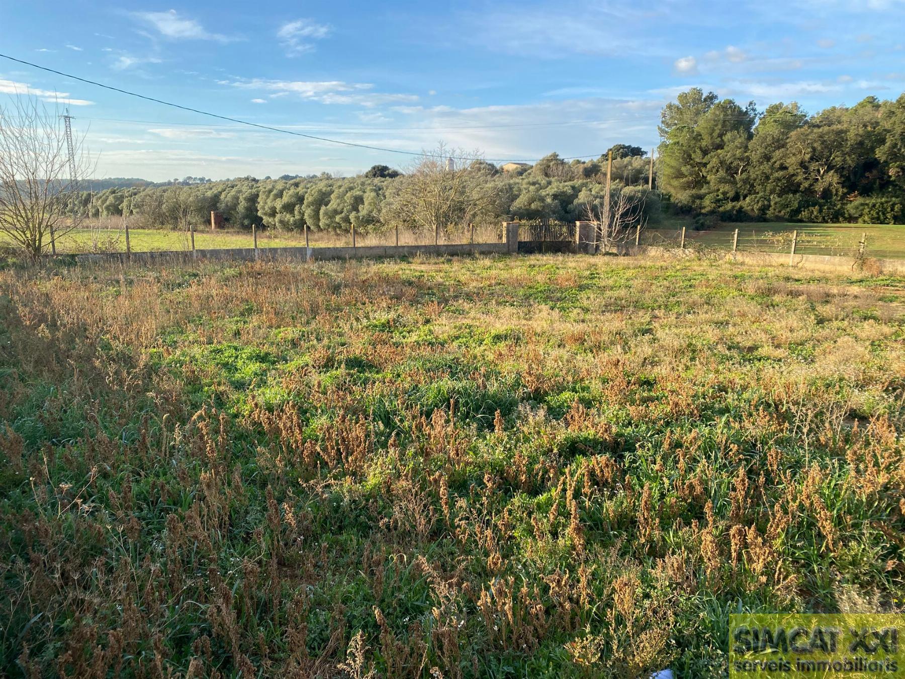 For sale of land in Navata
