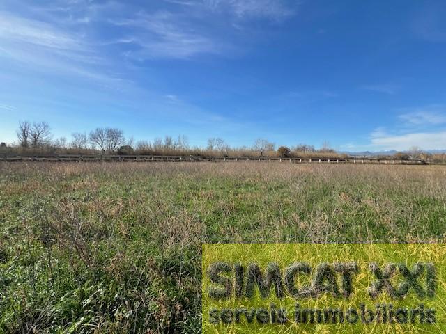 For sale of land in Cabanes