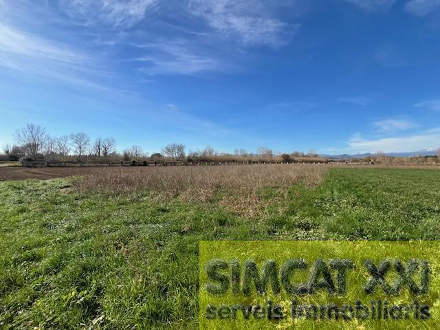 For sale of land in Cabanes