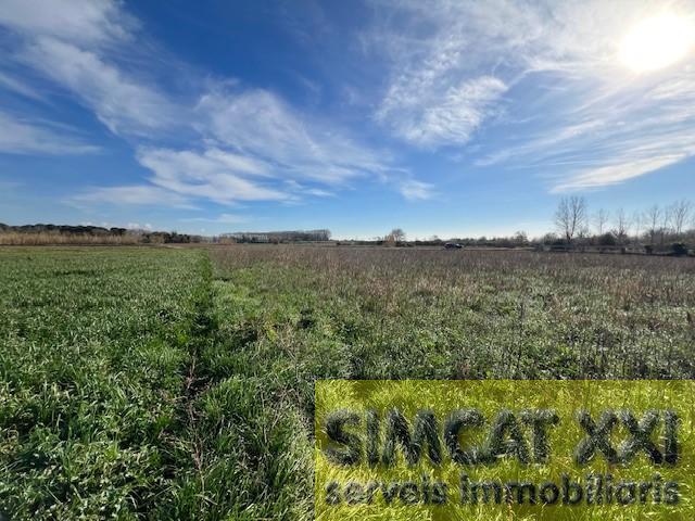 For sale of land in Cabanes