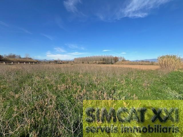 For sale of land in Cabanes