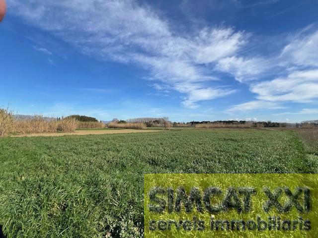 For sale of land in Cabanes