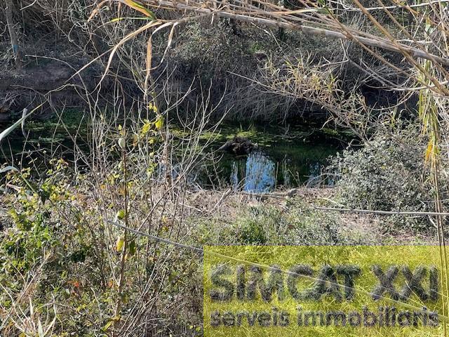 For sale of land in Cabanes