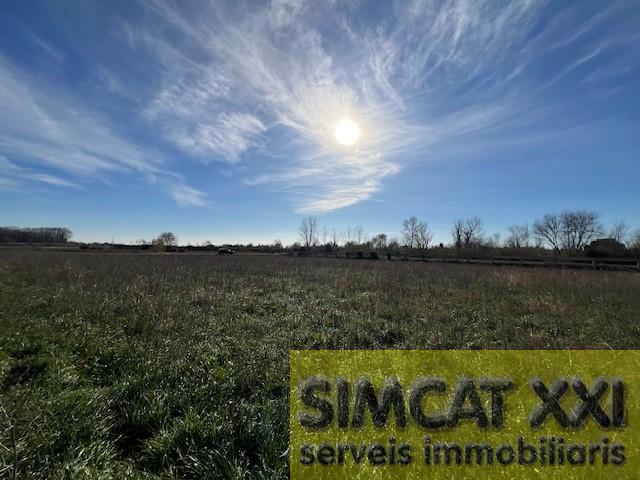 For sale of land in Cabanes