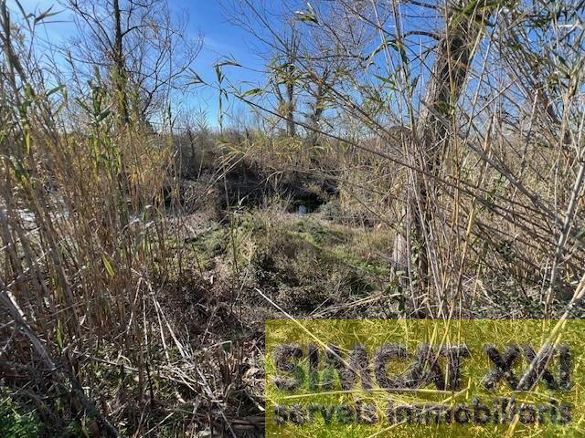 For sale of land in Cabanes