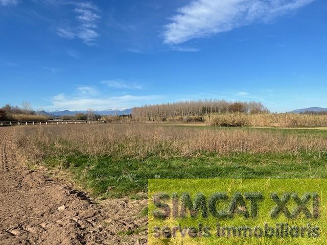 For sale of land in Cabanes