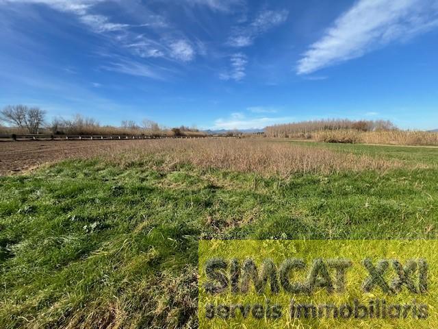 For sale of land in Cabanes