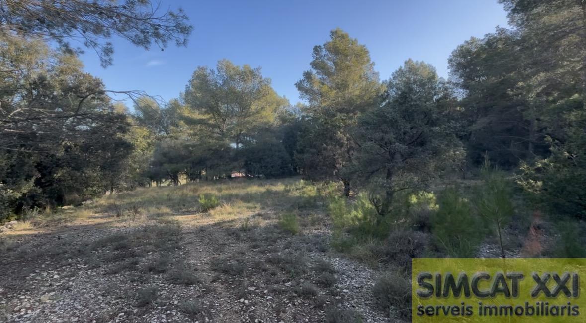 For sale of rural property in Terrades