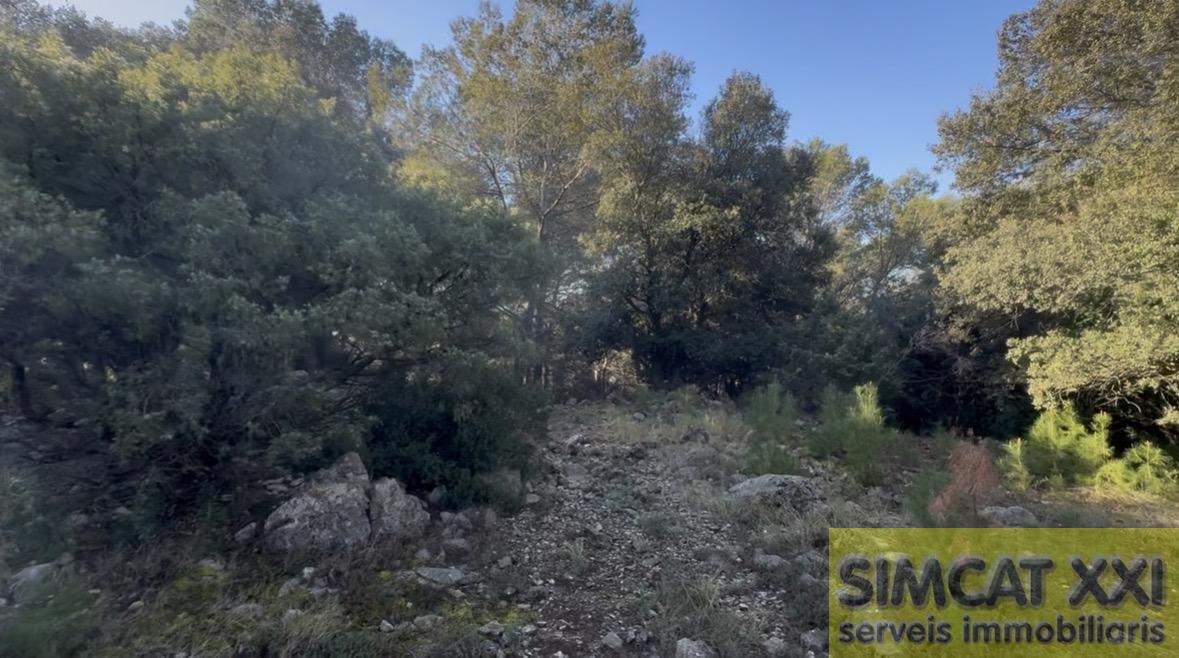 For sale of rural property in Terrades