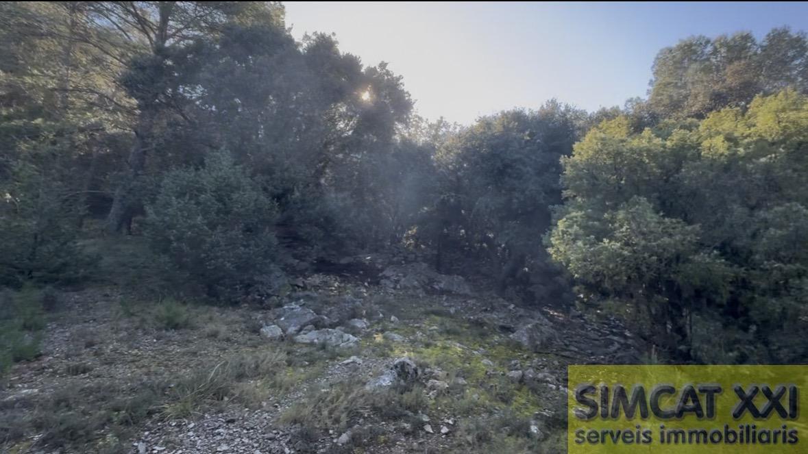For sale of rural property in Terrades