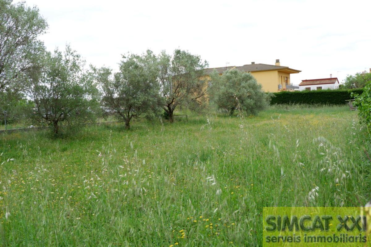For sale of land in Navata