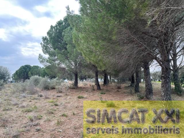 For sale of land in Vilamalla