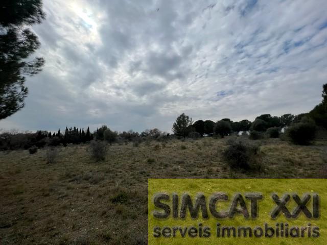 For sale of land in Vilamalla