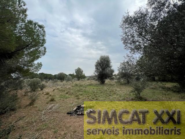 For sale of land in Vilamalla