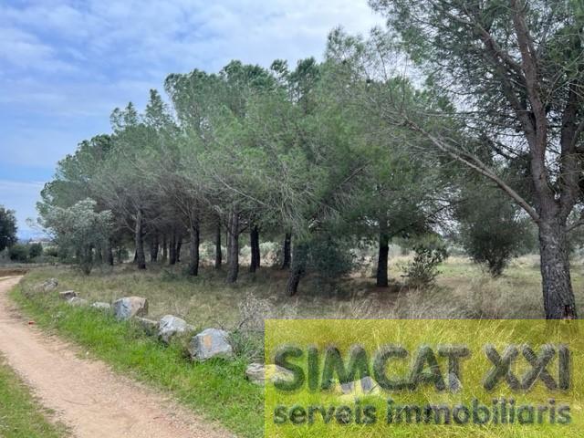 For sale of land in Vilamalla