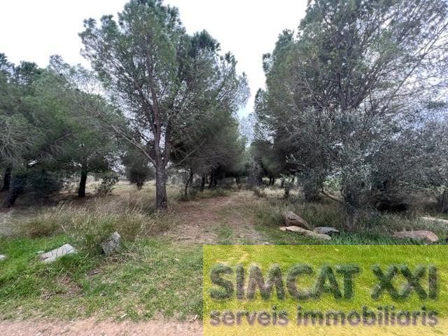 For sale of land in Vilamalla