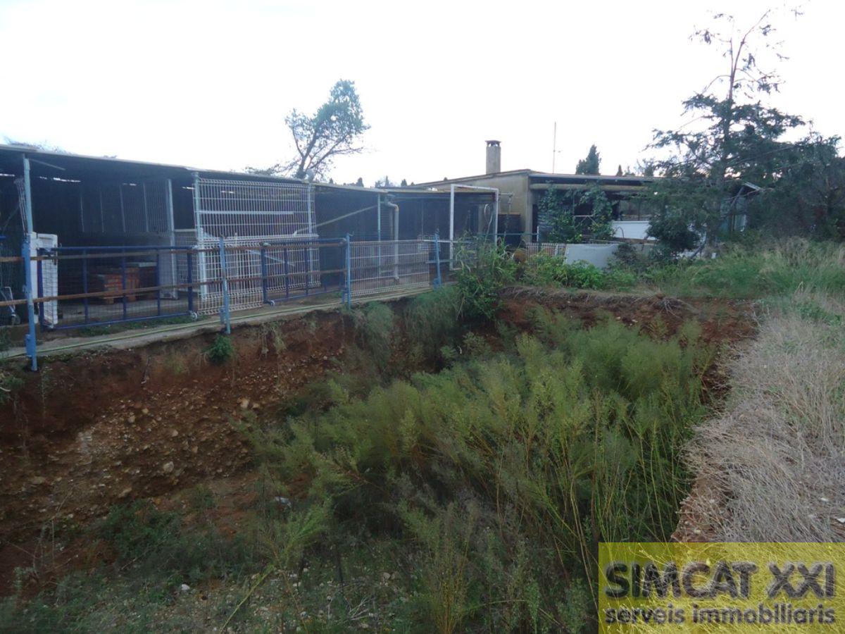 For sale of land in Cabanes