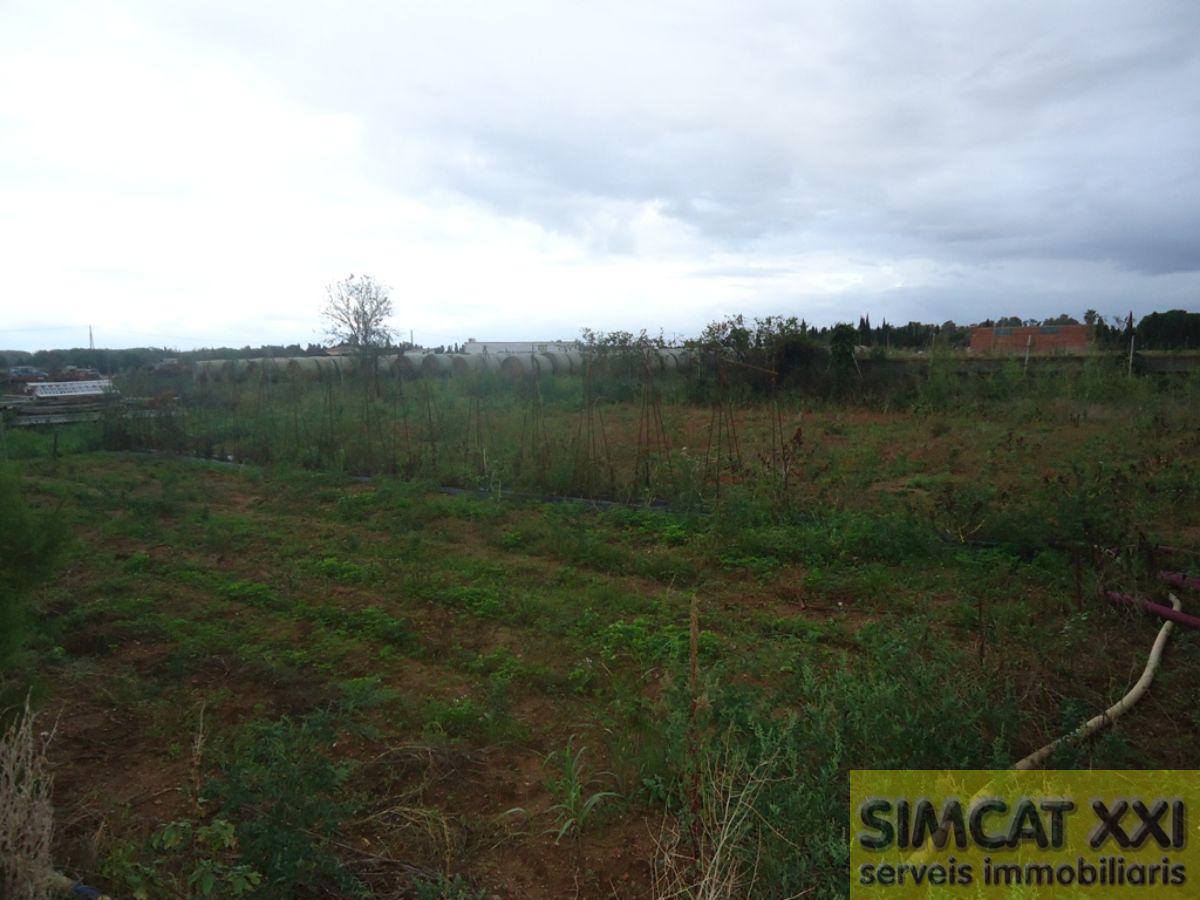 For sale of land in Cabanes