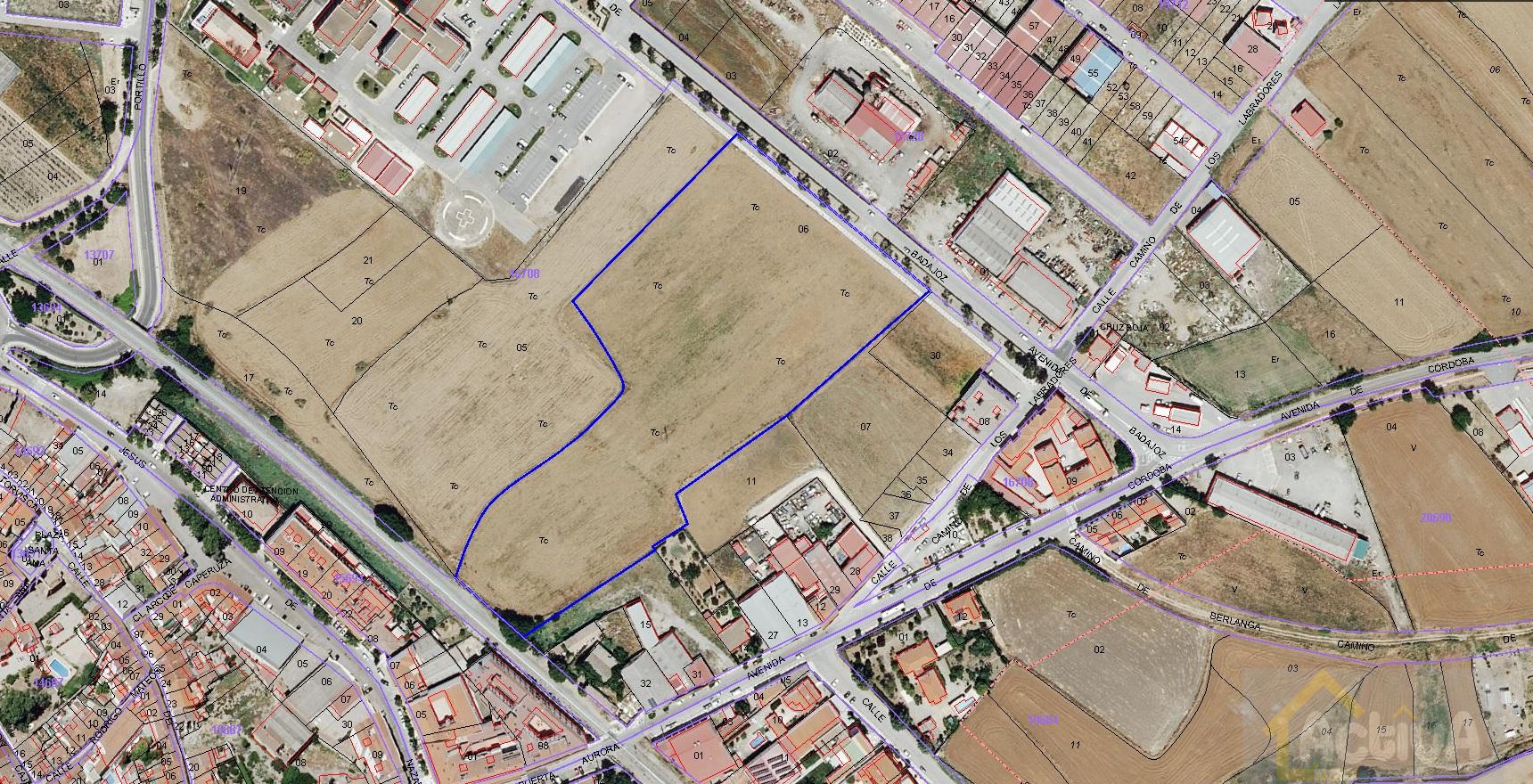 For sale of land in Llerena