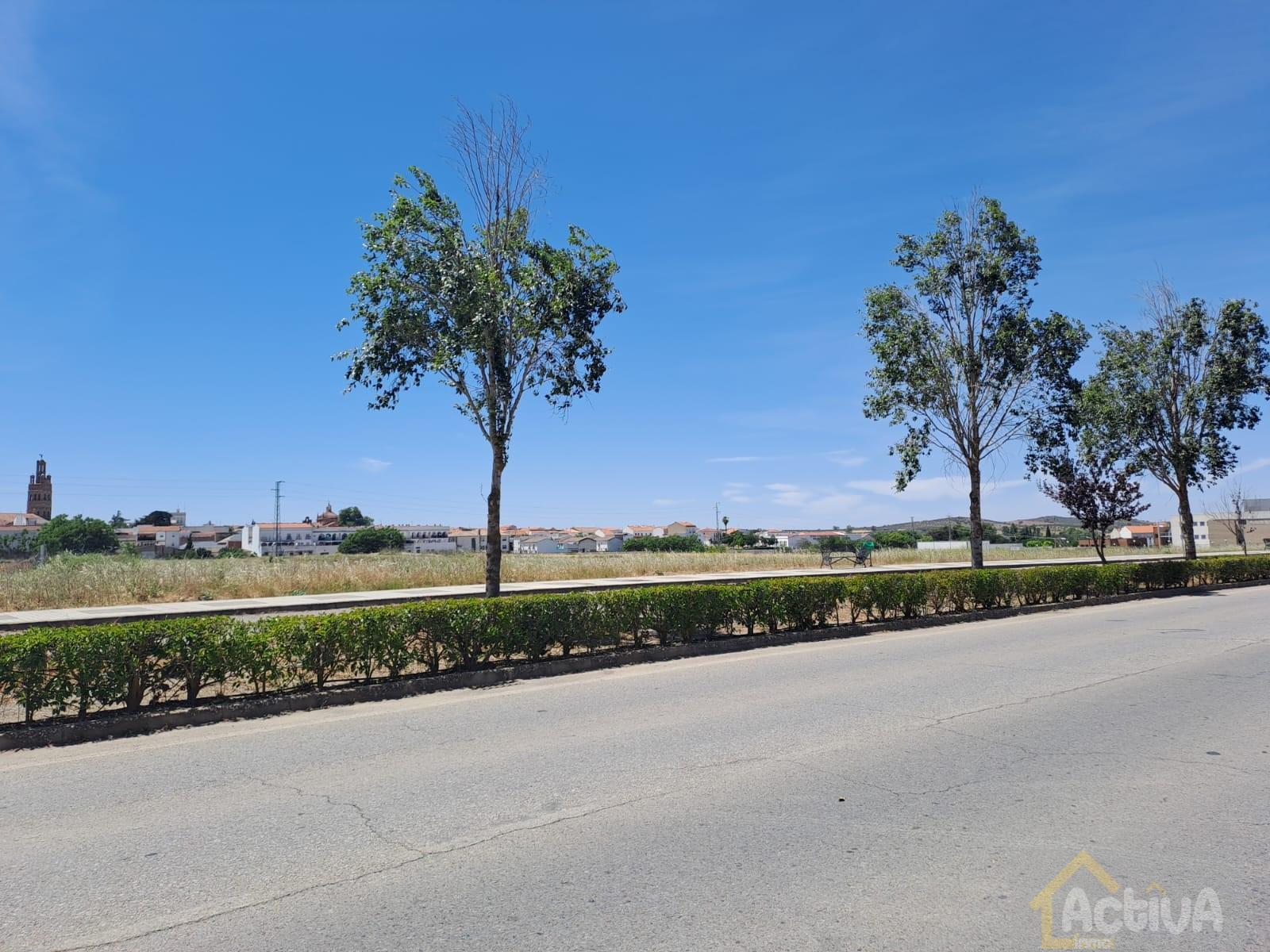 Venta de terreno en Llerena