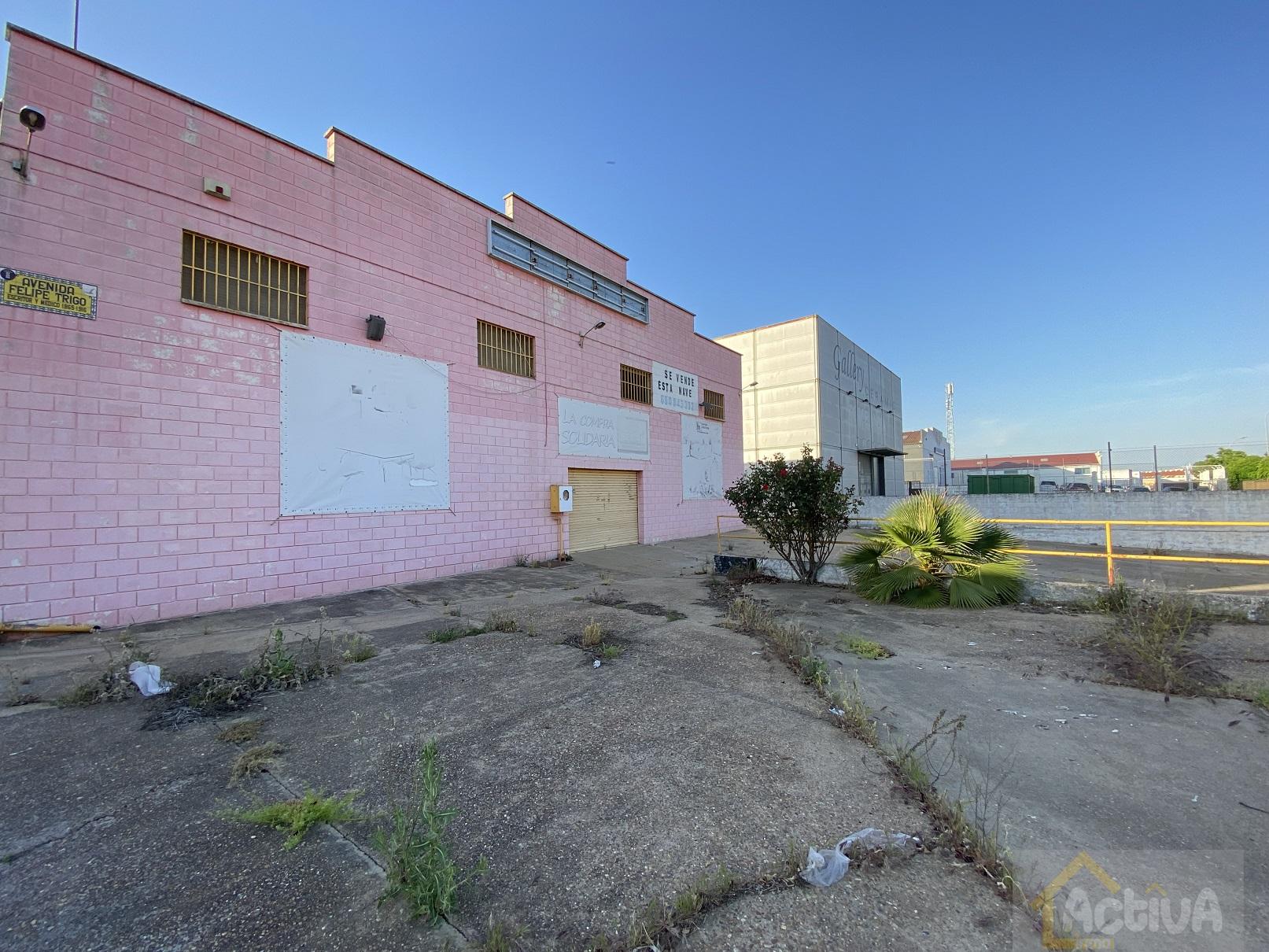 For sale of industrial plant/warehouse in Badajoz
