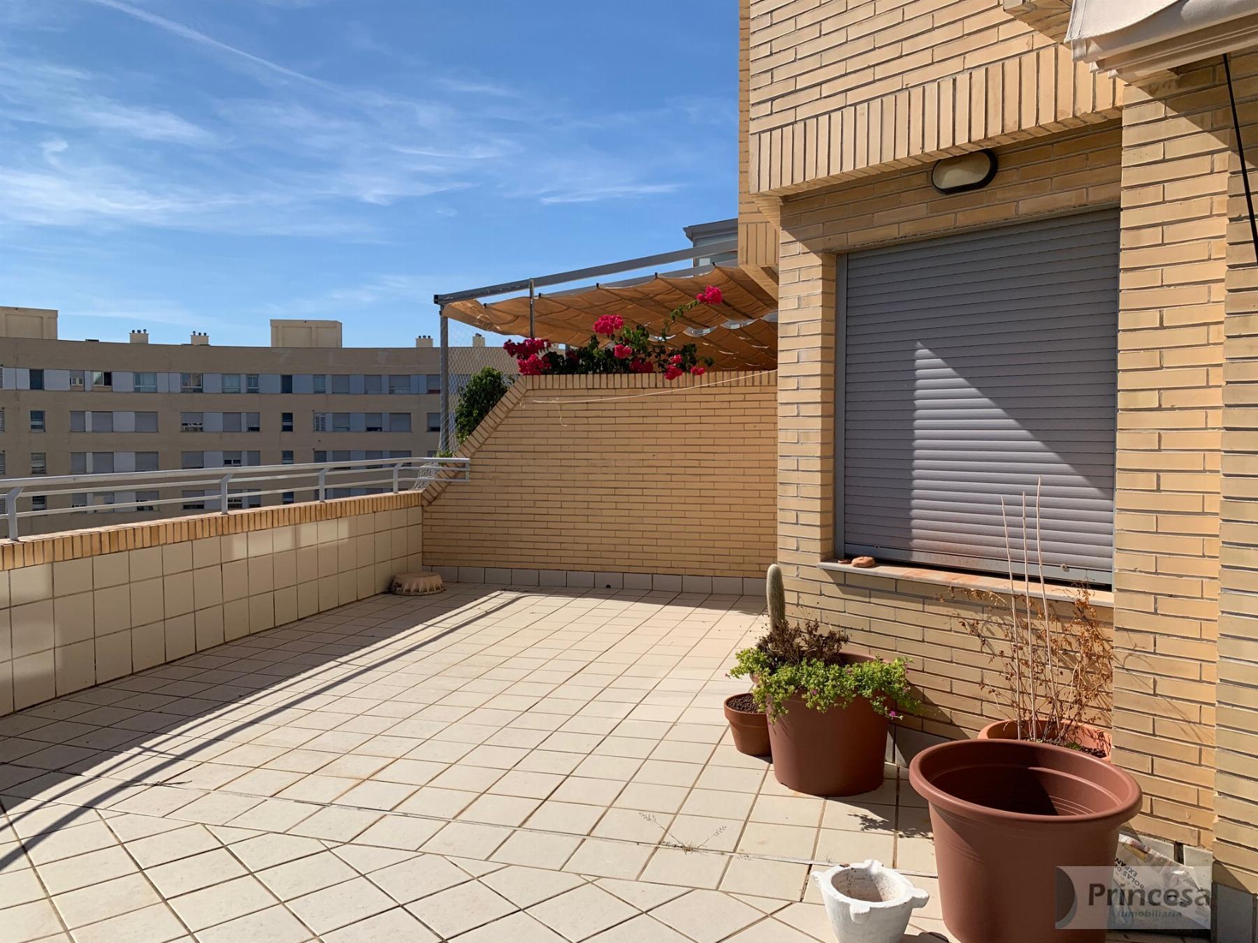 Terraza