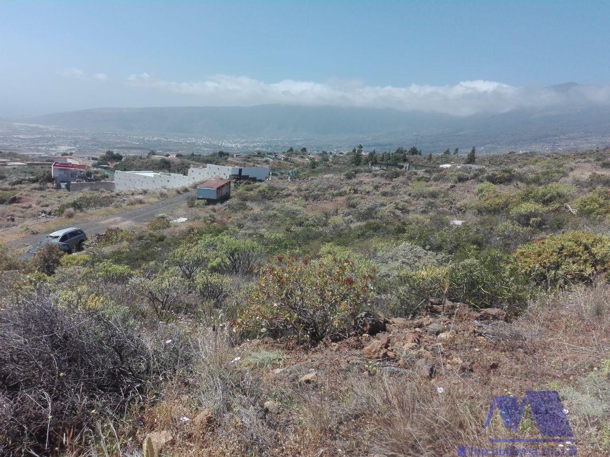 For sale of rural property in Candelaria