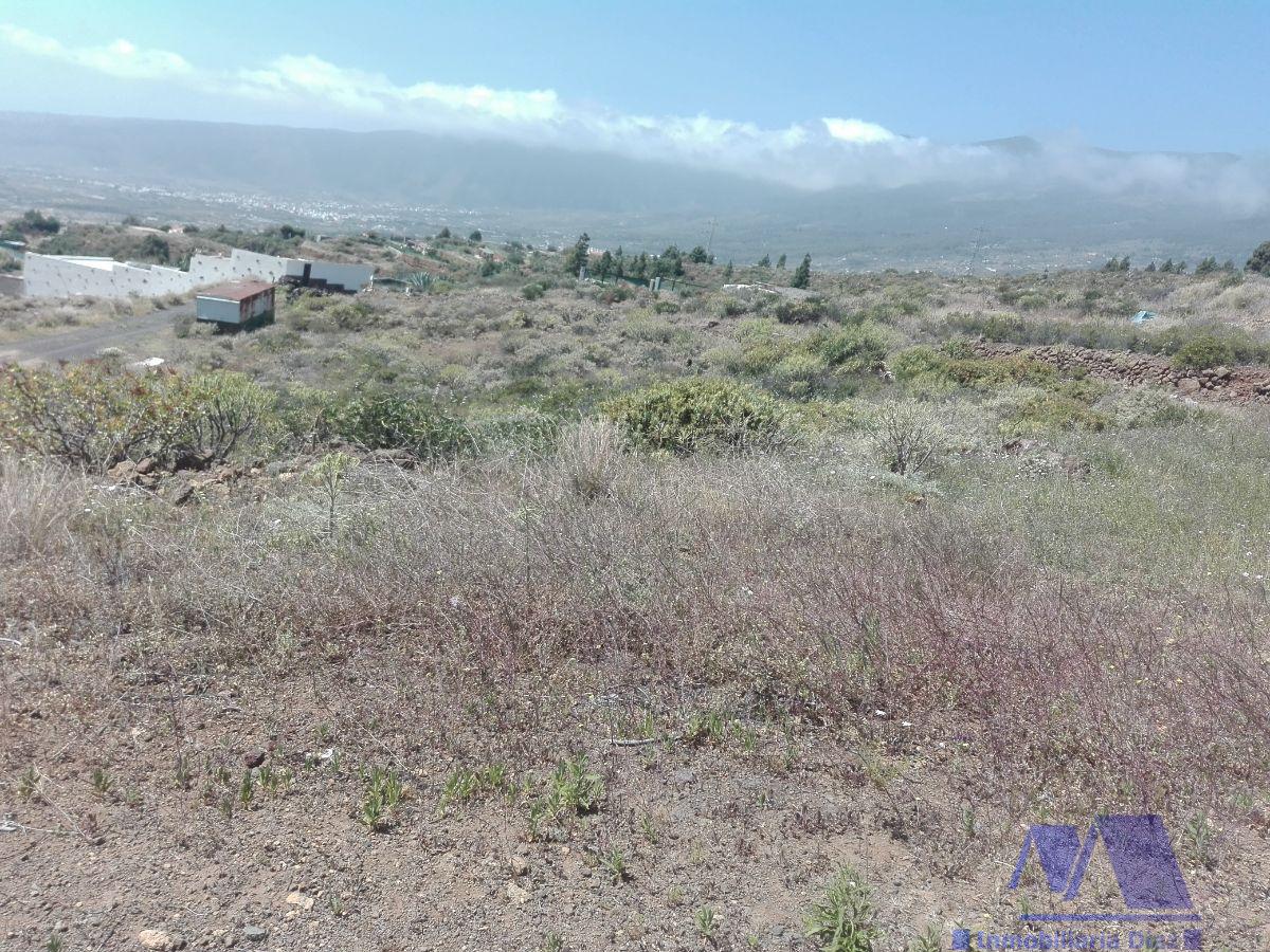 Venta de finca rústica en Candelaria