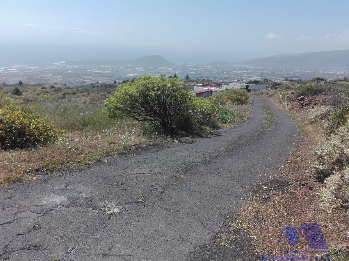 Venta de finca rústica en Candelaria