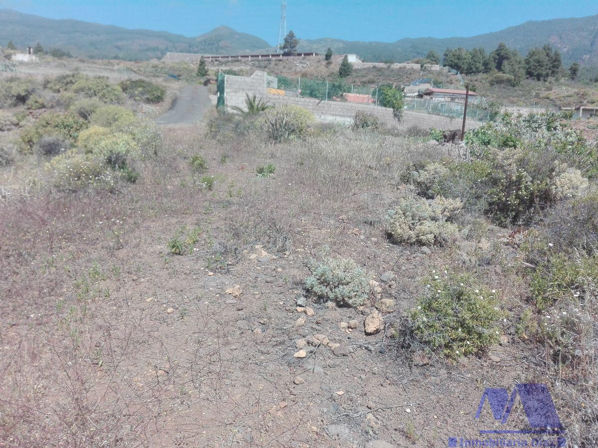 For sale of rural property in Candelaria