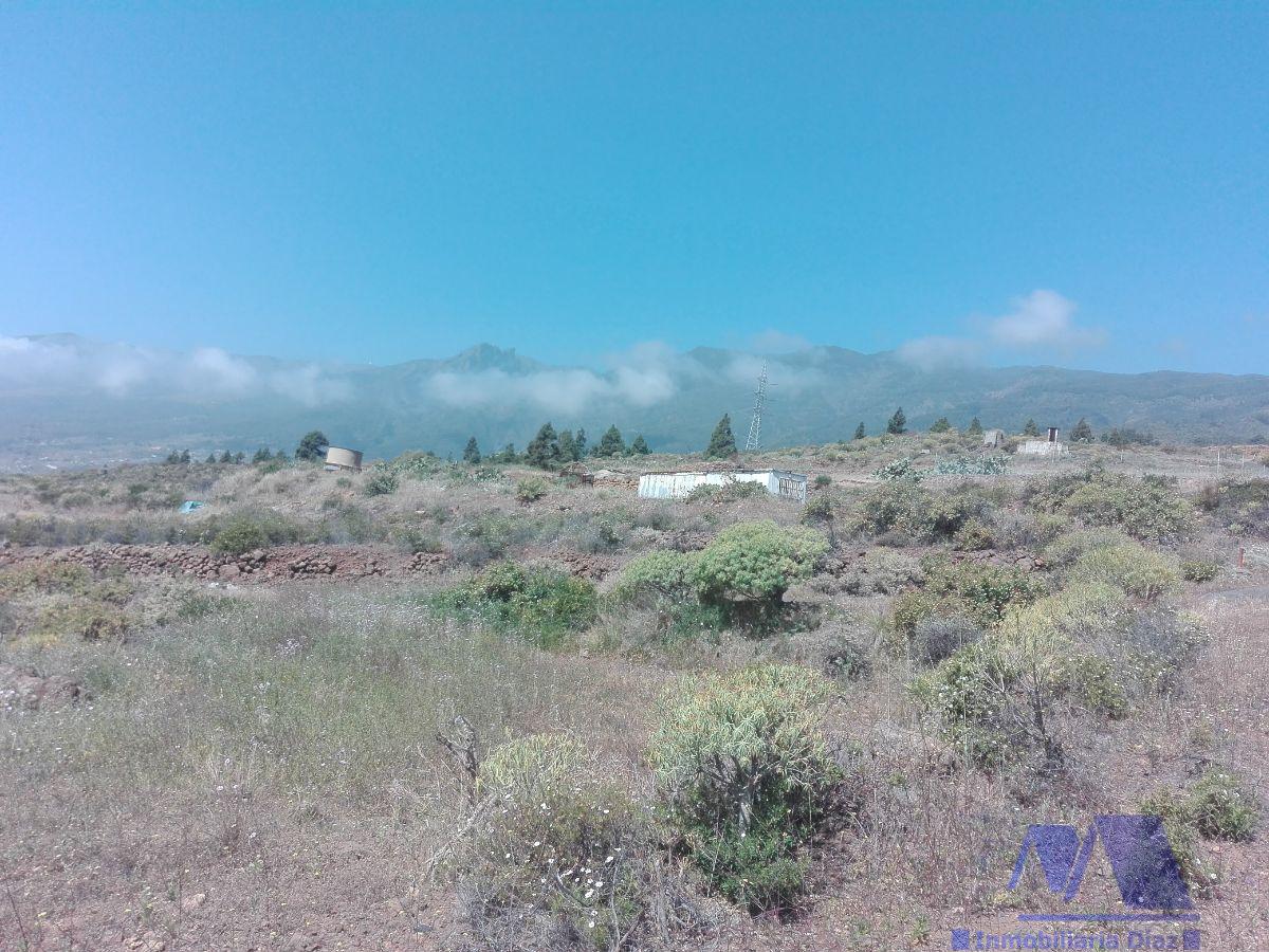 For sale of rural property in Candelaria