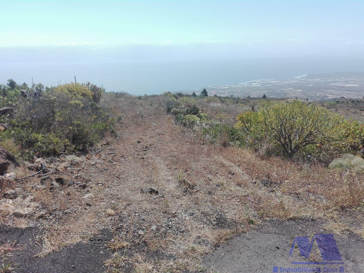 Venta de finca rústica en Candelaria