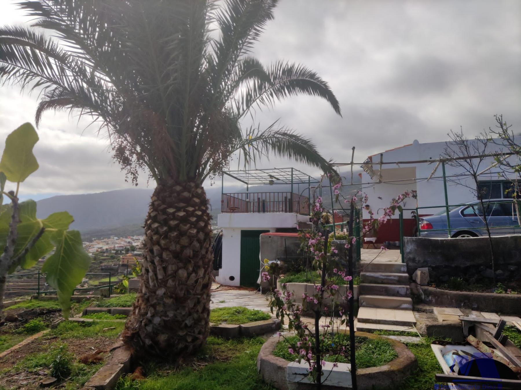 For sale of rural property in Candelaria