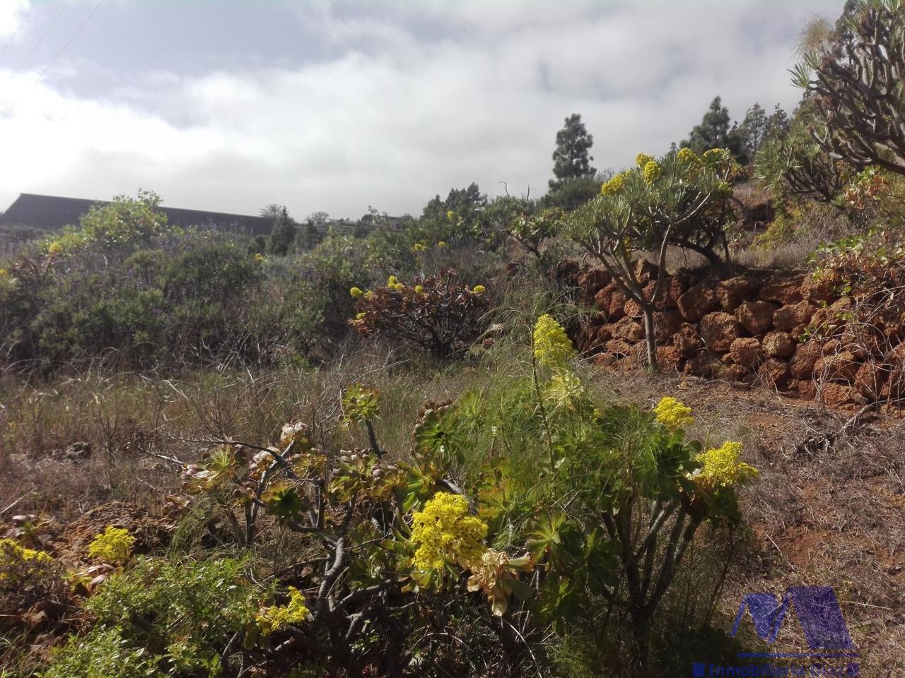 Venta de terreno en Candelaria