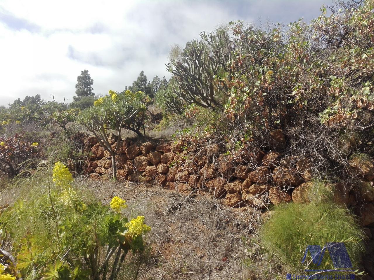 Venta de terreno en Candelaria