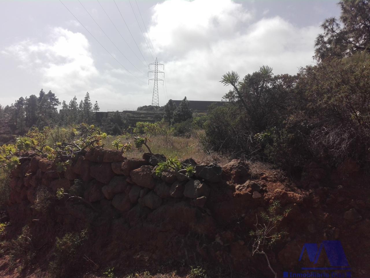 For sale of land in Candelaria