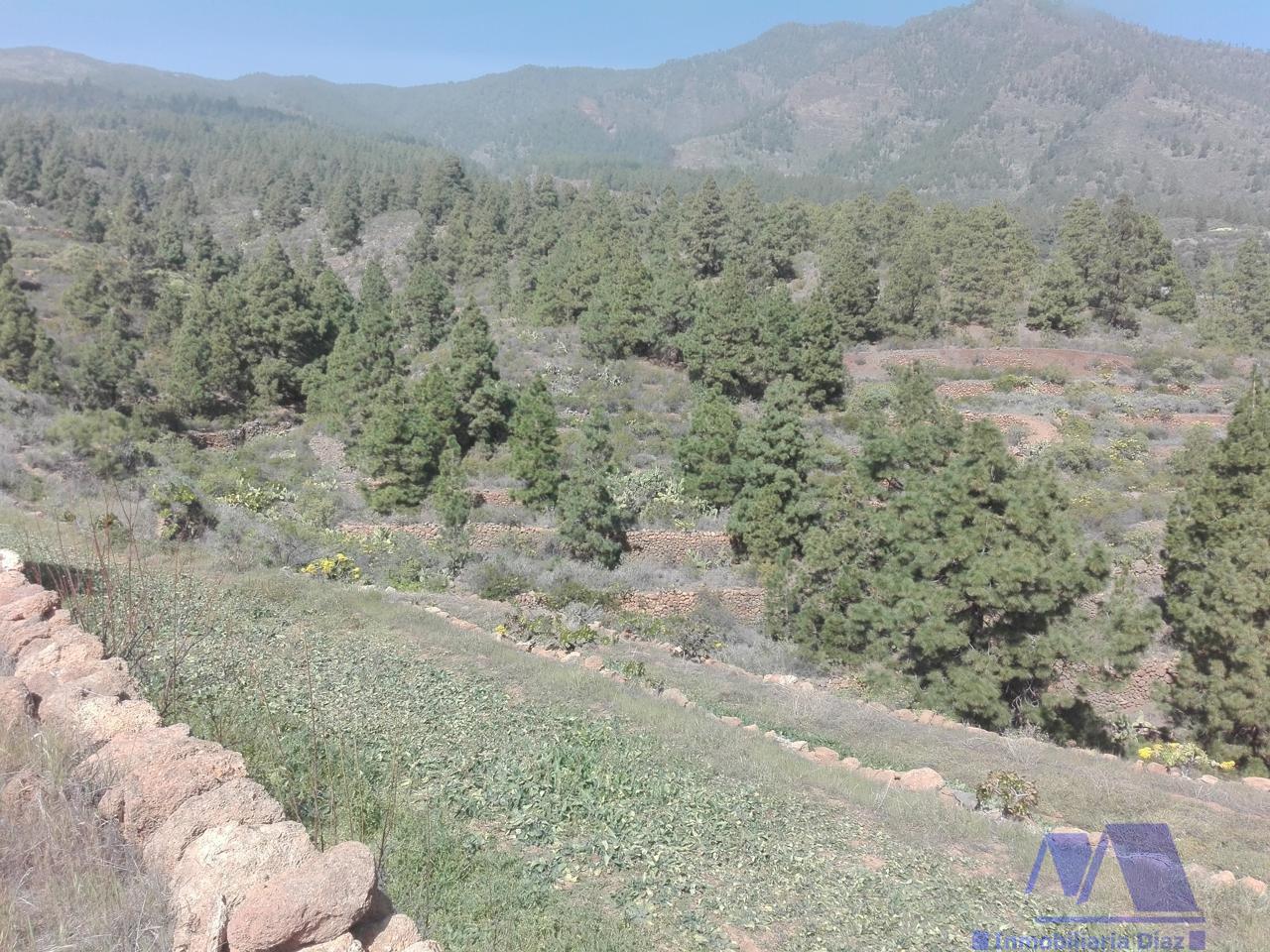 For sale of land in Candelaria