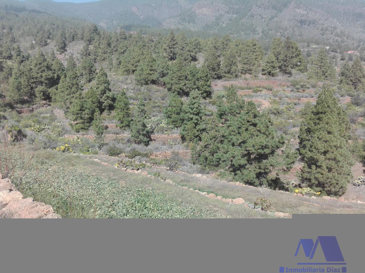 For sale of land in Candelaria