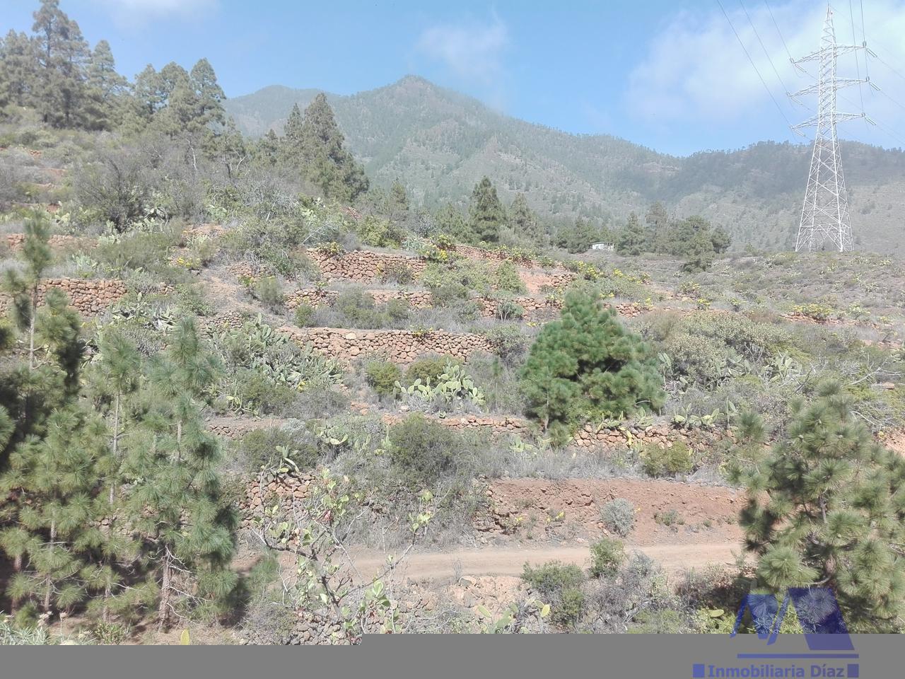 For sale of land in Candelaria