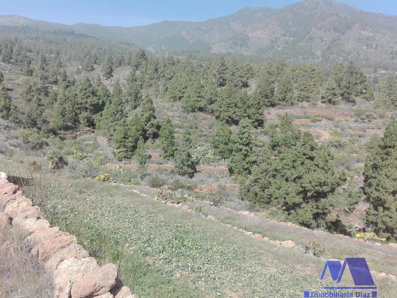 For sale of land in Candelaria